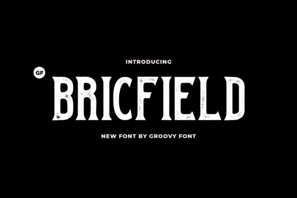 Bricfield Font: A Vintage Serif That Makes Your Brand Feel Real
