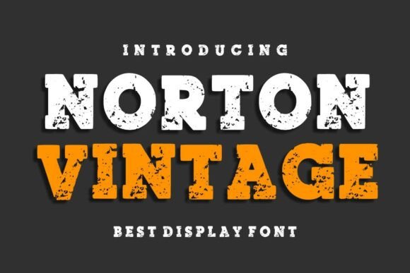 Norton Vintage: A Bold Slab Serif for Scroll-Stopping Brand Content