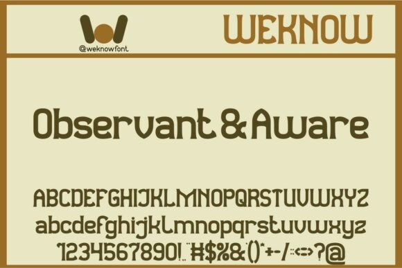 Observant and Aware: A Thoughtful Display Typeface for Digital Brands